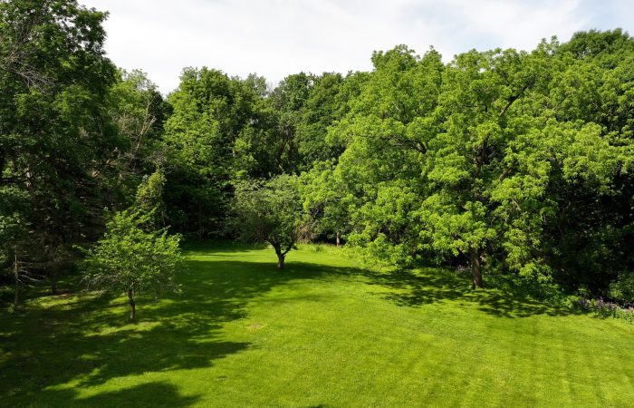 Wedgewood Lot Image