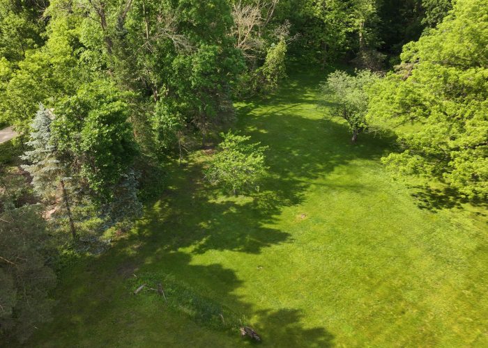 Aerial view of lush green backyard with mature trees and open grassy area.