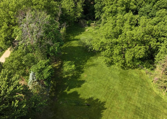 Aerial view of a lush green backyard with trees and open grassy area at 5570 Wedgewood Drive.